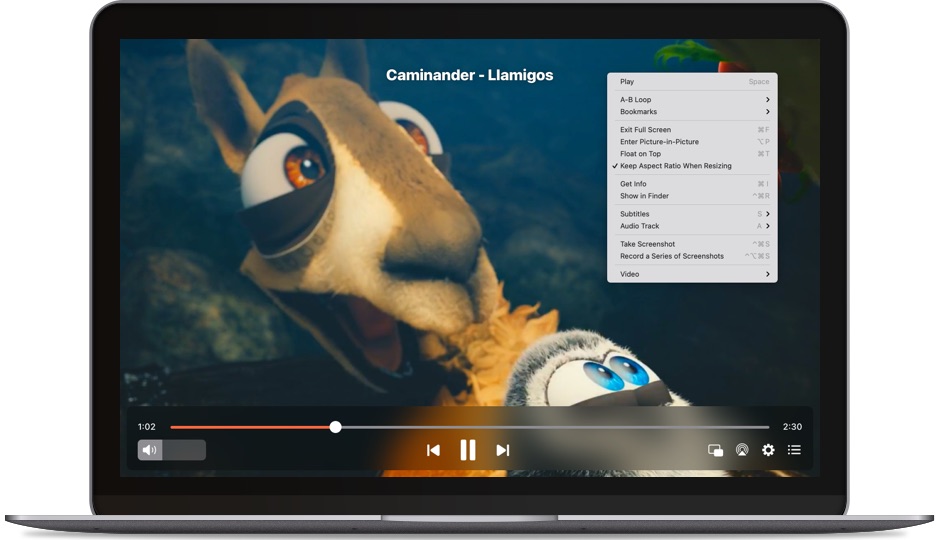 Playback features Advanced Mac media player